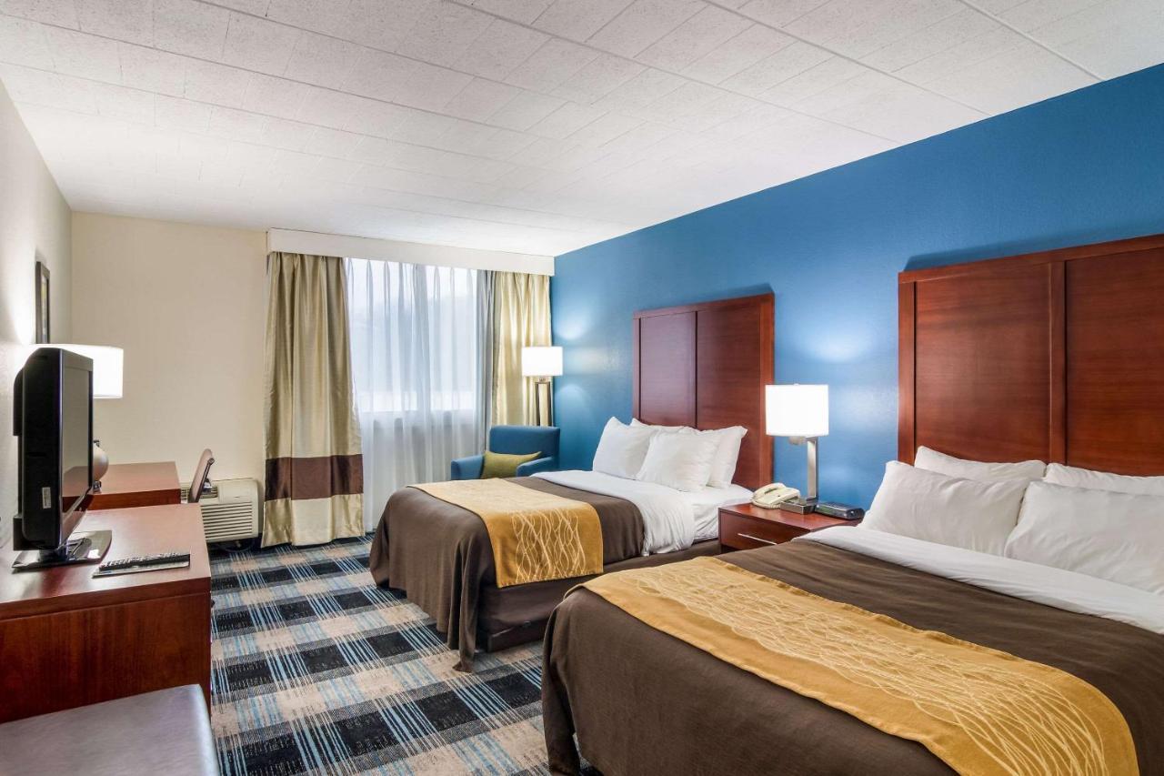 Comfort Inn & Suites Montrose Hill Extérieur photo