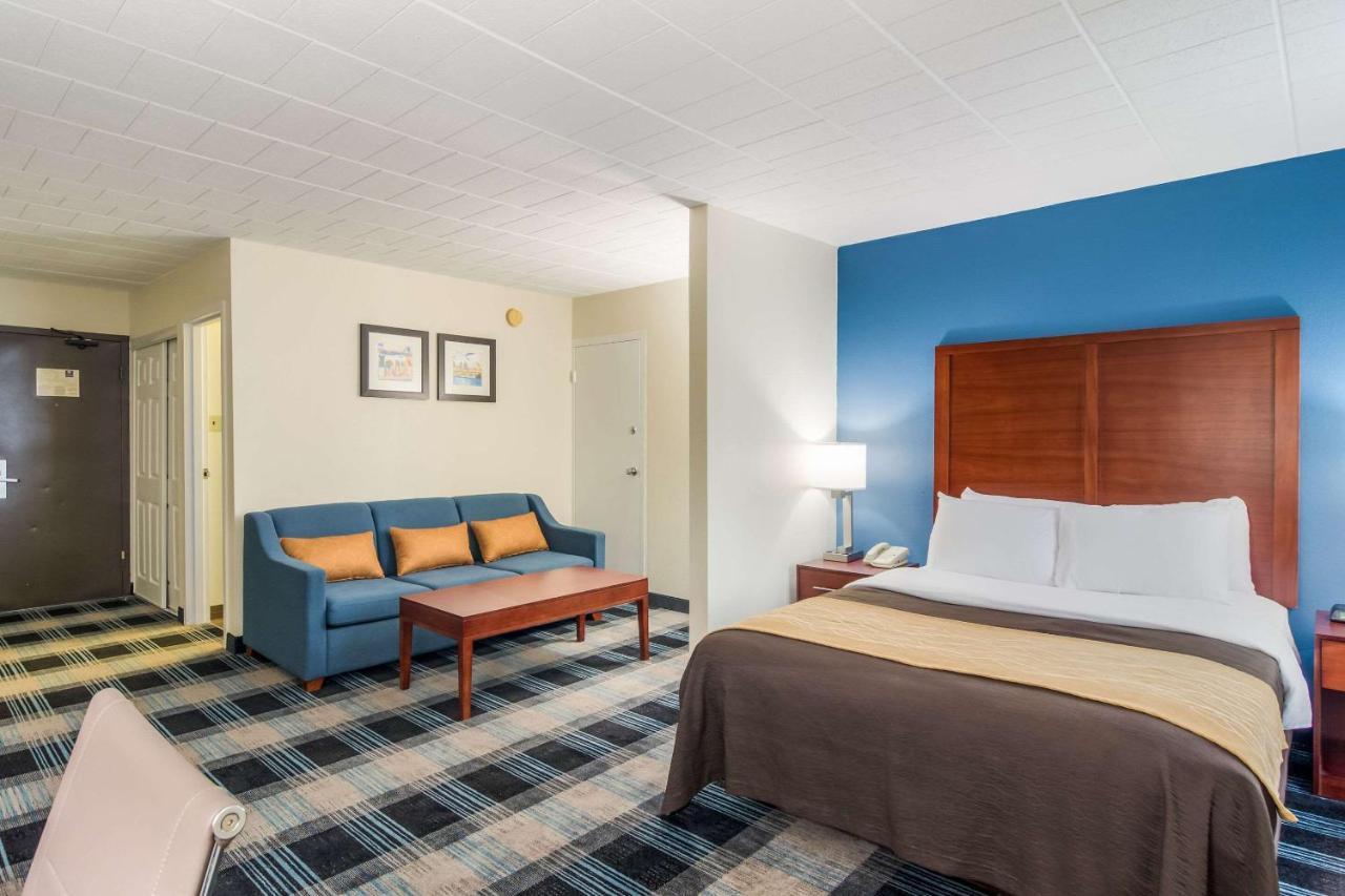 Comfort Inn & Suites Montrose Hill Extérieur photo