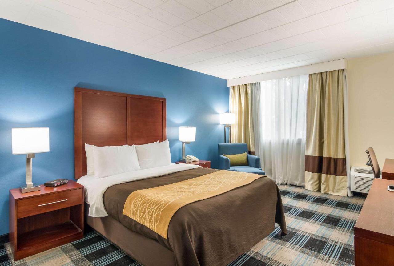 Comfort Inn & Suites Montrose Hill Extérieur photo